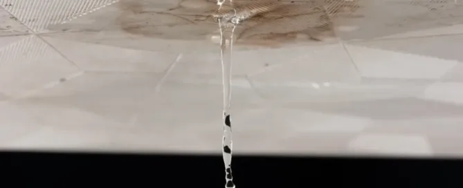Water dripping from a white foam tiled ceiling with visible black mold spreading from the leak source.